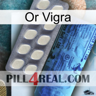 Gold Vigra 34